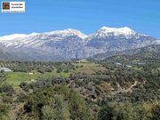 Kalochorafitis Kreta, Kalochorafiti: Landwirtschaftliches Grundstück mit 170 Olivenbäumen Grundstück kaufen